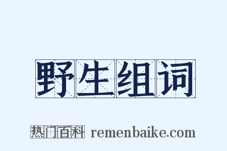 野生组词是什么意思的图片